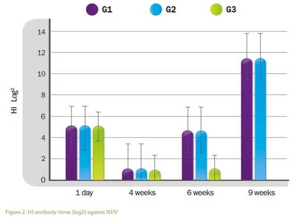 Approach to Genotype VII Newcastle Disease with a high incidence in the Middle East Region and North Africa - Image 4