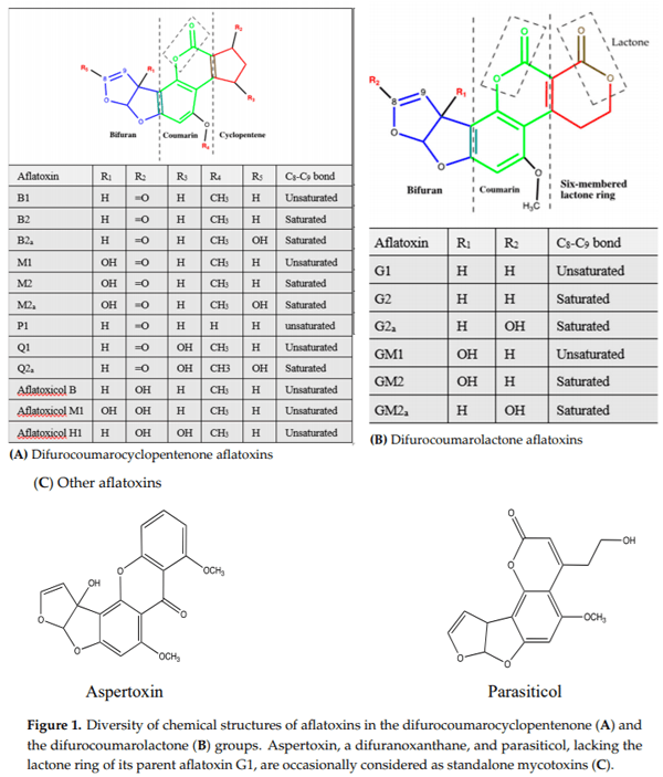 Aflatoxins: Producing-Molds, Structure, Health Issues and Incidence in Southeast Asian and Sub-Saharan African Countries - Image 4