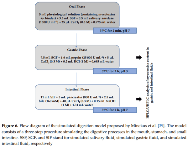 The Effectiveness of Durian Peel as a Multi-Mycotoxin Adsorbent - Image 12