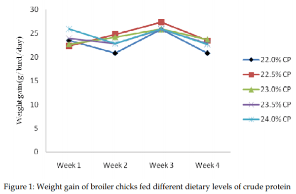 Dietary Levels of Protein and Sustainable Broiler Production - Image 4