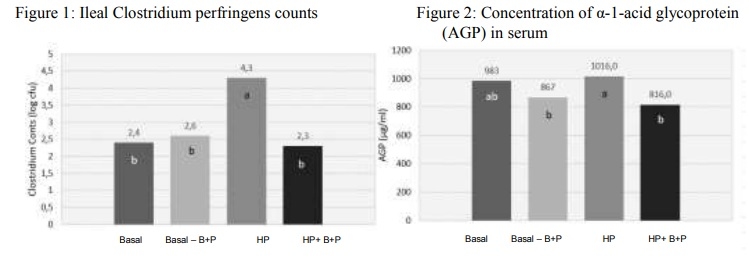 Use of a Bacillus licheniformis and its derived protease on subclinical necrotic enteritis in broilers - Image 1