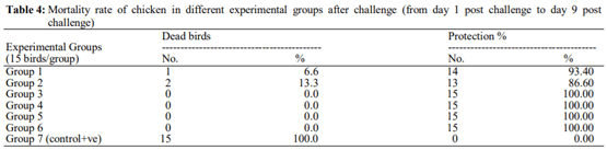 Evaluation of Some Vaccination Programs in Protection of Experimentally Challenged Broiler Chicken against Newcastle Disease Virus - Image 7