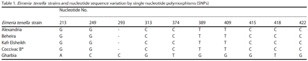 Identifying Intra-Specific Variability in the Virulence of Eimeria tenella Using SCAR Markers - Image 2