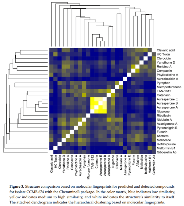 Calm before the Storm: A Glimpse into the Secondary Metabolism of Aspergillus welwitschiae, the Etiologic Agent of the Sisal Bole Rot - Image 4