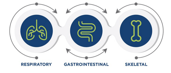 What Have We Learned about the Use of Spray-Dried Plasma in Broilers? - Image 1