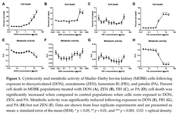 The Mycotoxin Deoxynivalenol Significantly Alters the Function and Metabolism of Bovine Kidney Epithelial Cells In Vitro - Image 1