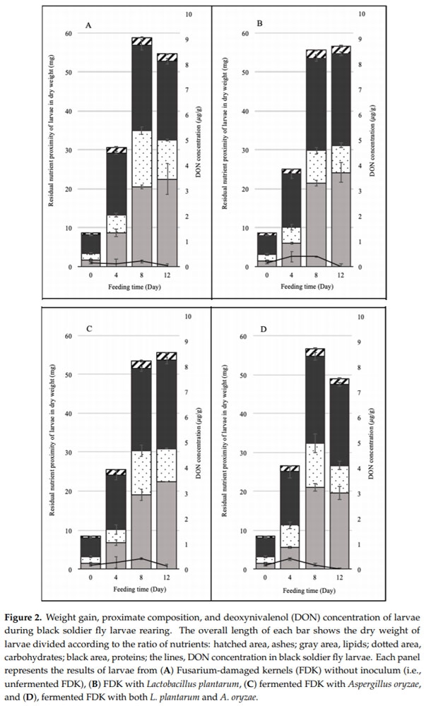Deoxynivalenol (DON) Accumulation and Nutrient Recovery in Black Soldier Fly Larvae (Hermetia illucens) Fed Wheat Infected with Fusarium spp. - Image 2
