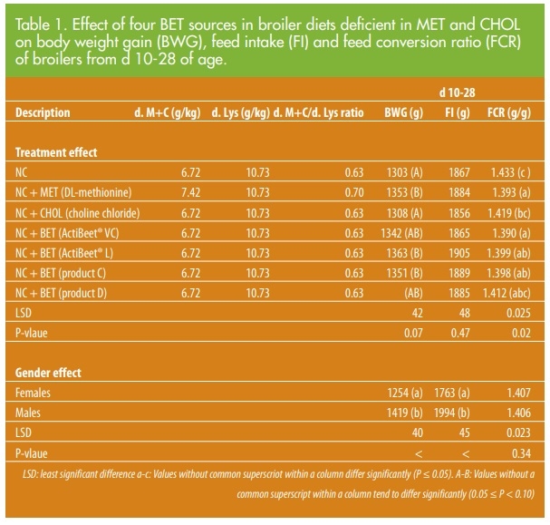 Better feed efficiency with naturally sourced betaine - Image 2