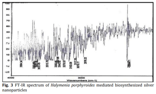 Biosynthesis and Characterization of Silver Nanoparticles from Marine Macroscopic Red Seaweed Halymenia porphyroides Boergesen (Crypton) - Image 3