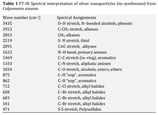Biosynthesis and Characterization of Silver Nanoparticles from Marine Macroscopic Brown Seaweed Colpomenia sinuosa (Mertens ex Roth) Derbes and Solier - Image 4