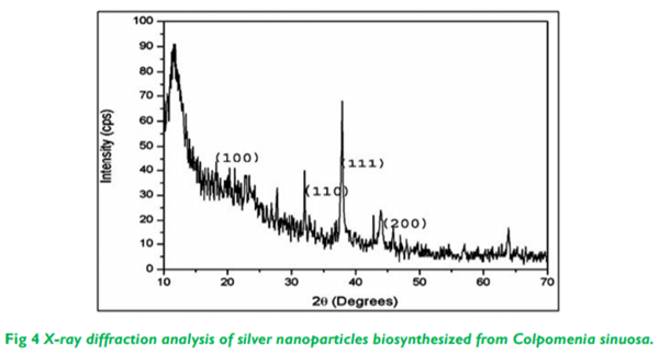 Biosynthesis and Characterization of Silver Nanoparticles from Marine Seaweed Colpomenia Sinuosa and its Antifungal Efficacy - Image 4