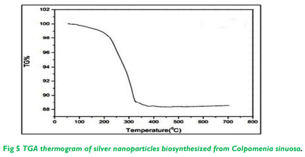 Biosynthesis and Characterization of Silver Nanoparticles from Marine Seaweed Colpomenia Sinuosa and its Antifungal Efficacy - Image 5