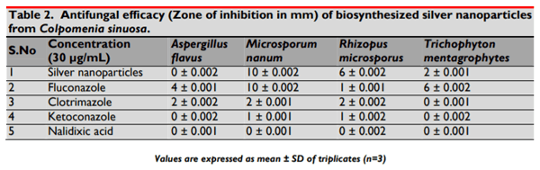 Biosynthesis and Characterization of Silver Nanoparticles from Marine Seaweed Colpomenia Sinuosa and its Antifungal Efficacy - Image 10