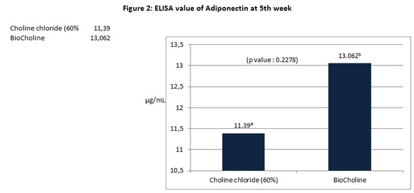 The effect of an alternative to synthetic choline on growth response, hepatic gene regulation and adiponectin expression in broilers - Image 4