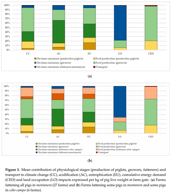 Life Cycle Assessment of Iberian Traditional Pig Production System in Spain - Image 7
