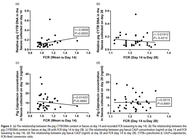 The association between faecal host DNA or faecal calprotectin and feed efficiency in pigs fed yeast-enriched protein concentrate - Image 7