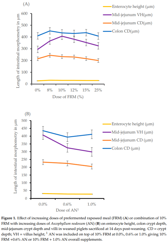 Effects of Increasing Doses of Lactobacillus Pre-Fermented Rapeseed Product with or without Inclusion of Macroalgae Product on Weaner Piglet Performance and Intestinal Development - Image 4