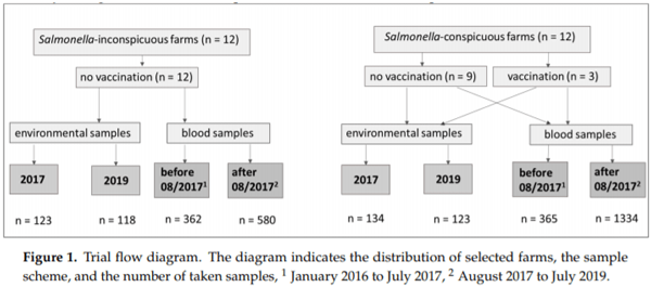 Prevalence of Salmonella by Serological and Direct Detection Methods in Piglets from Inconspicuous, Conspicuous, and Vaccinated Sow Herds - Image 1