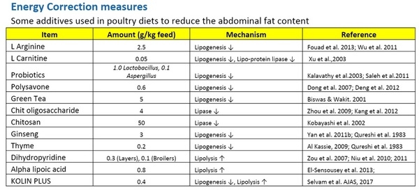 Unseen Challenges in Balancing Fat in Poultry Nutrition - Image 4