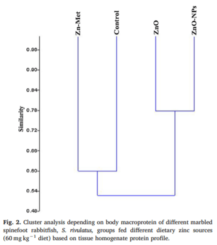 Growth performance, anti-oxidative status, innate immunity, and ammonia stress resistance of Siganus rivulatus fed diet supplemented with zinc and zinc nanoparticles - Image 7