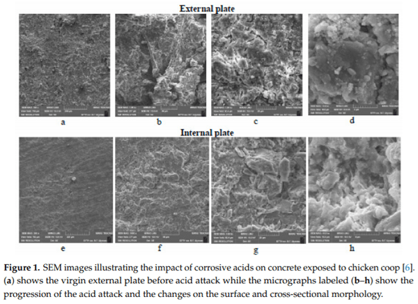 Durability Issues and Corrosion of Structural Materials and Systems in Farm Environment - Image 4