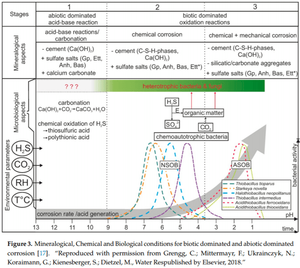 Durability Issues and Corrosion of Structural Materials and Systems in Farm Environment - Image 7