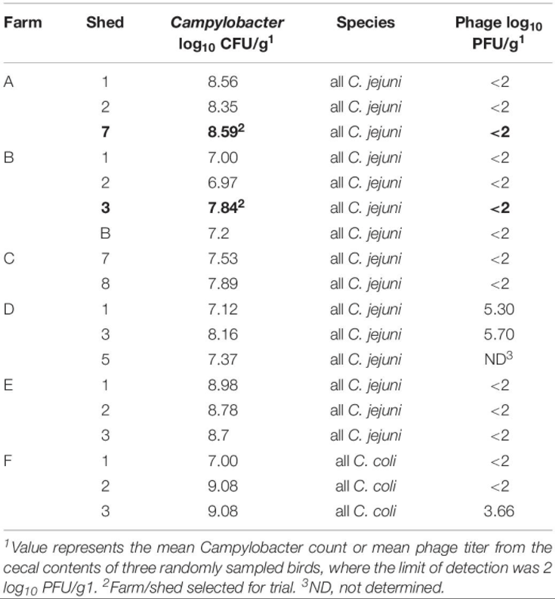 Bacteriophages to Control Campylobacter in Commercially Farmed Broiler Chickens, in Australia - Image 3