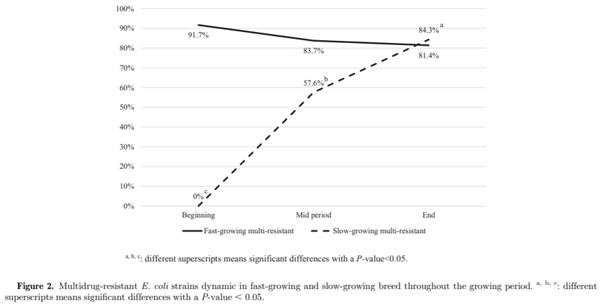 The dynamic of antibiotic resistance in commensal Escherichia coli throughout the growing period in broiler chickens: fast-growing vs. slow-growing breeds - Image 3