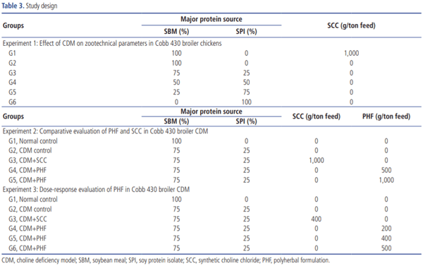 Evaluation of polyherbal formulation and synthetic choline chloride on choline deficiency model in broilers: implications on zootechnical parameters, serum biochemistry and liver histopathology - Image 3
