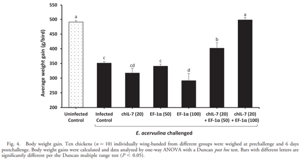 Eimeria tenella Elongation Factor-1a (EF-1a) Coadministered with Chicken IL-7 (chIL-7) DNA Vaccine Emulsified in Montanide Gel 01 Adjuvant Enhanced the Immune Response to E. acervulina Infection in Broiler Chickens - Image 5