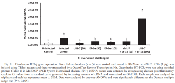 Eimeria tenella Elongation Factor-1a (EF-1a) Coadministered with Chicken IL-7 (chIL-7) DNA Vaccine Emulsified in Montanide Gel 01 Adjuvant Enhanced the Immune Response to E. acervulina Infection in Broiler Chickens - Image 9