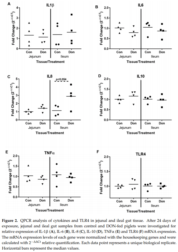 Molecular and Physiological Effects on the Small Intestine of Weaner Pigs Following Feeding with Deoxynivalenol-Contaminated Feed - Image 3