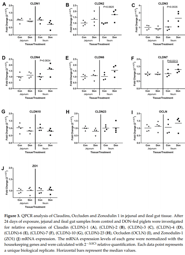 Molecular and Physiological Effects on the Small Intestine of Weaner Pigs Following Feeding with Deoxynivalenol-Contaminated Feed - Image 4