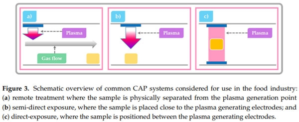 Mycotoxin Decontamination of Food: Cold Atmospheric Pressure Plasma versus “Classic” Decontamination - Image 4