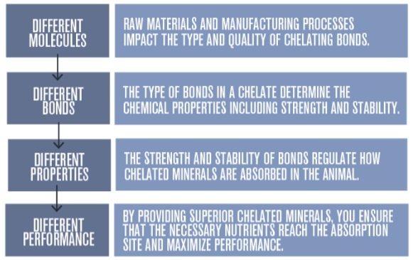 Not All Chelated Minerals are same - Image 2
