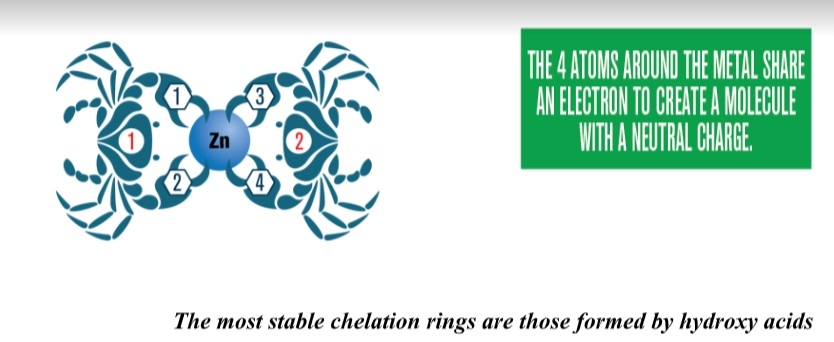 Not All Chelated Minerals are same - Image 4