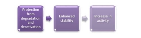 Revamping The Phytase Skeletal - Image 6