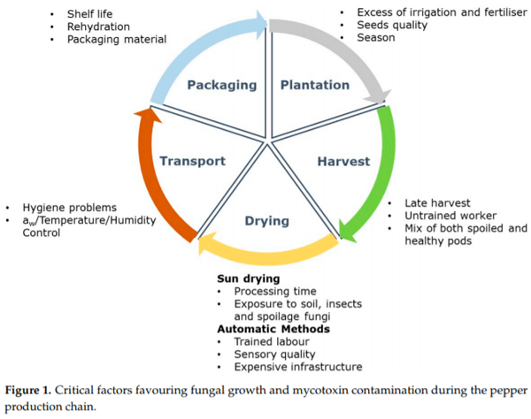 Overview of Fungi and Mycotoxin Contamination in Capsicum Pepper and in Its Derivatives - Image 1