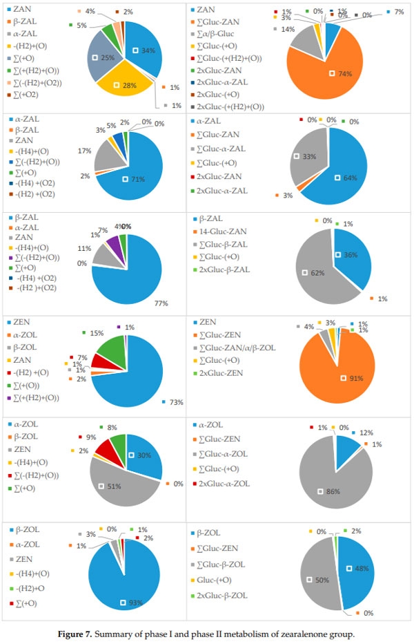 Characterization of Phase I and Glucuronide Phase II Metabolites of 17 Mycotoxins Using Liquid Chromatography—High-Resolution Mass Spectrometry - Image 6