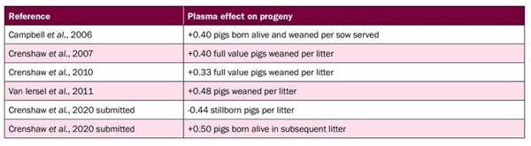 Plasma Supports Pig Health and Herd Productivity - Image 3