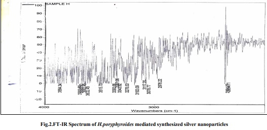 Biogenic silver nanoparticles by Halymenia poryphyroides and its in vitro anti-diabetic efficacy - Image 3