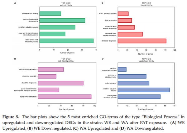 Distinct Transcriptional Changes in Response to Patulin Underlie Toxin Biosorption Differences in Saccharomyces cerevisiae - Image 5