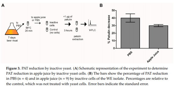Distinct Transcriptional Changes in Response to Patulin Underlie Toxin Biosorption Differences in Saccharomyces cerevisiae - Image 3