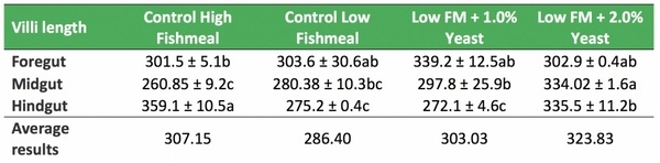 Functional yeast protein improves fish health in reduced fishmeal diets - Image 4