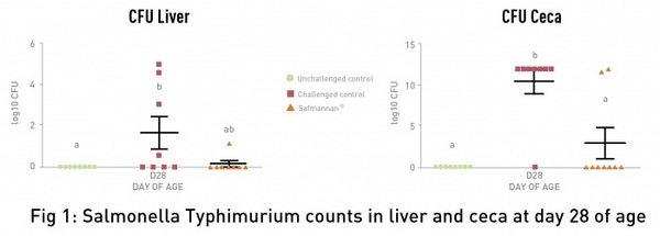 Prevent Salmonella from undermining food safety - Image 3