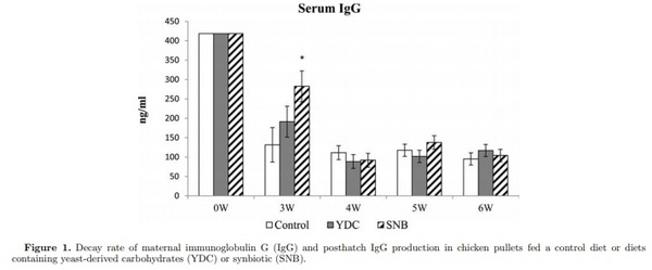 Maternal antibody decay and antibody-mediated immune responses in chicken pullets fed prebiotics and synbiotics - Image 1