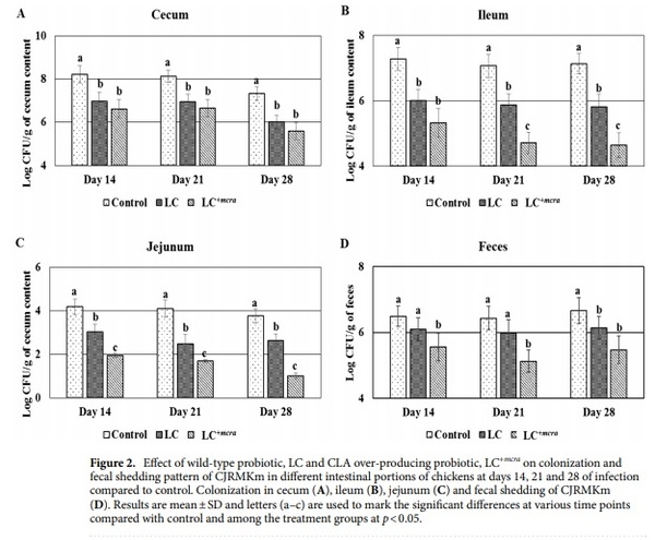 Competitive reduction of poultry-borne enteric bacterial pathogens in chicken gut with bioactive Lactobacillus casei - Image 2