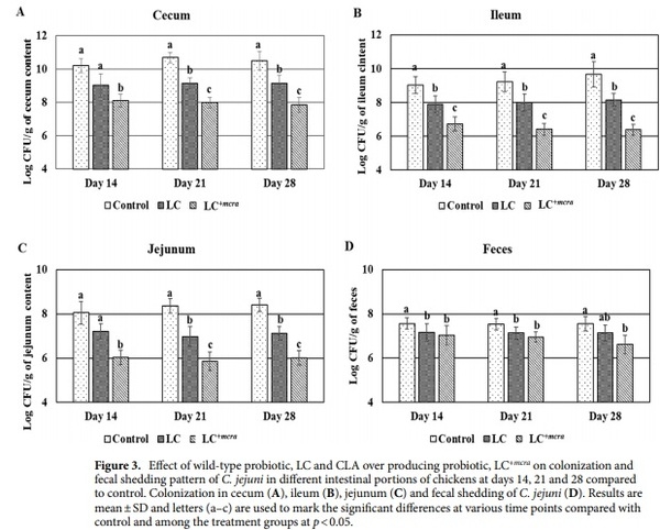 Competitive reduction of poultry-borne enteric bacterial pathogens in chicken gut with bioactive Lactobacillus casei - Image 3