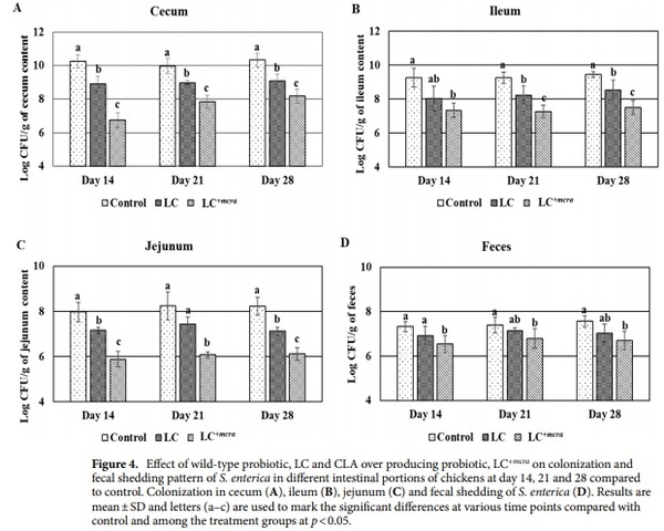 Competitive reduction of poultry-borne enteric bacterial pathogens in chicken gut with bioactive Lactobacillus casei - Image 4