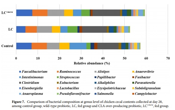 Competitive reduction of poultry-borne enteric bacterial pathogens in chicken gut with bioactive Lactobacillus casei - Image 7